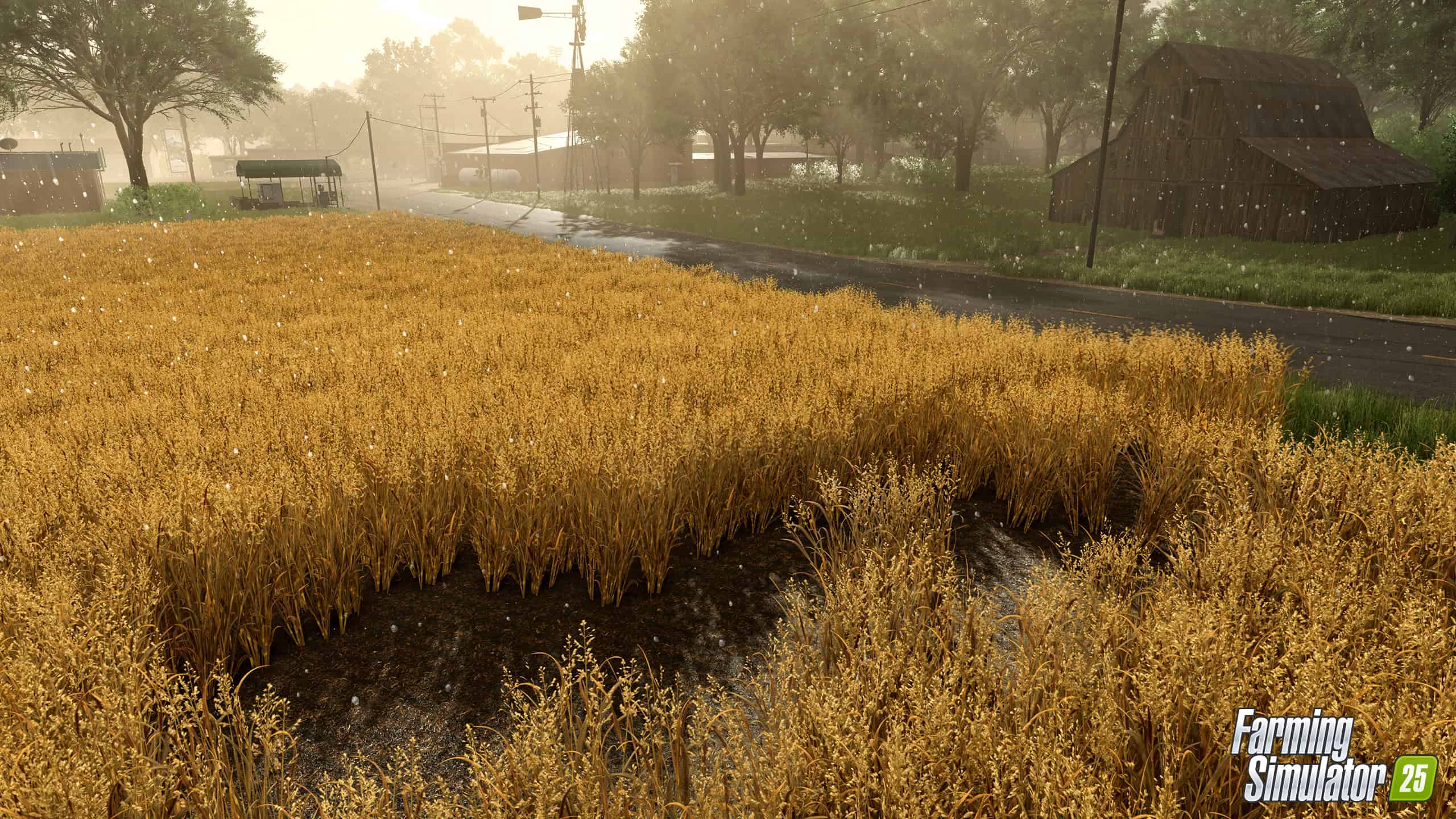 Brace for Impact: Twisters, Hail, and Fog in FS25 thumbnail 10