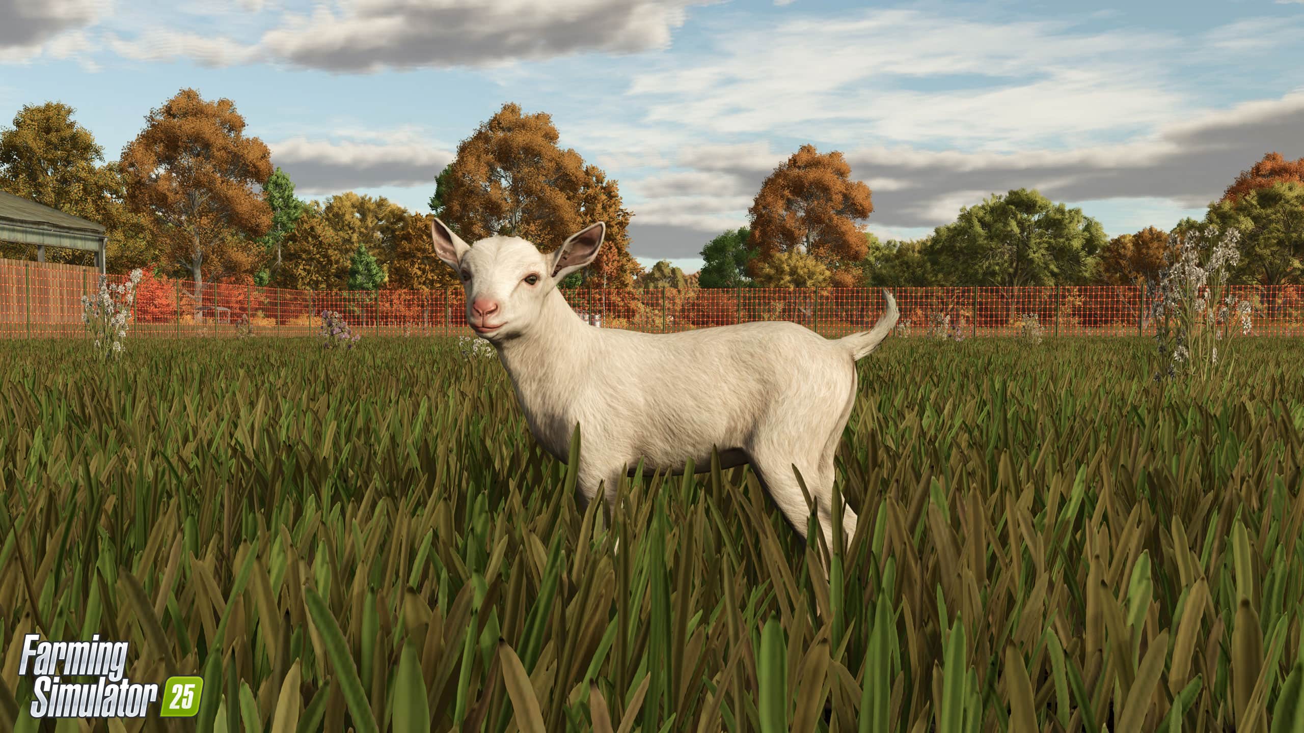 Get Ready for Goat Farming: New Livestock in FS25 thumbnail 12