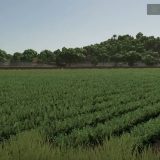 FS25 Rice Field Guide: Top Tips for Success | FS25modhub.com