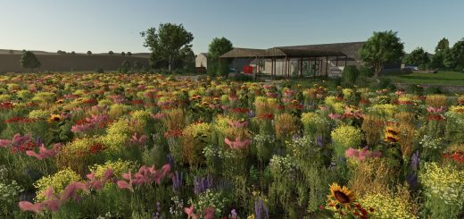 Oilseedradish Texture v1.0
