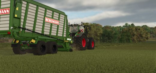 Bergmann Repex 34S v1.0