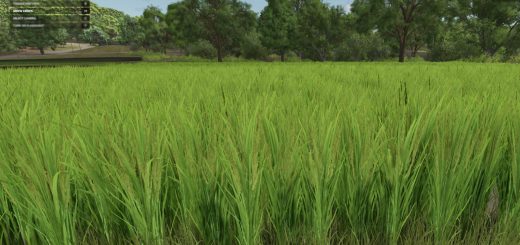 Grow Now v1.0