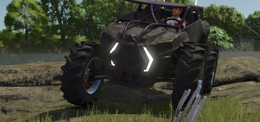 2021 RZR XP1000 V1.0