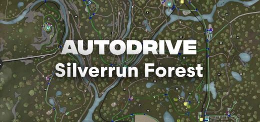 AutoDrive Silverrun Forest V1.0
