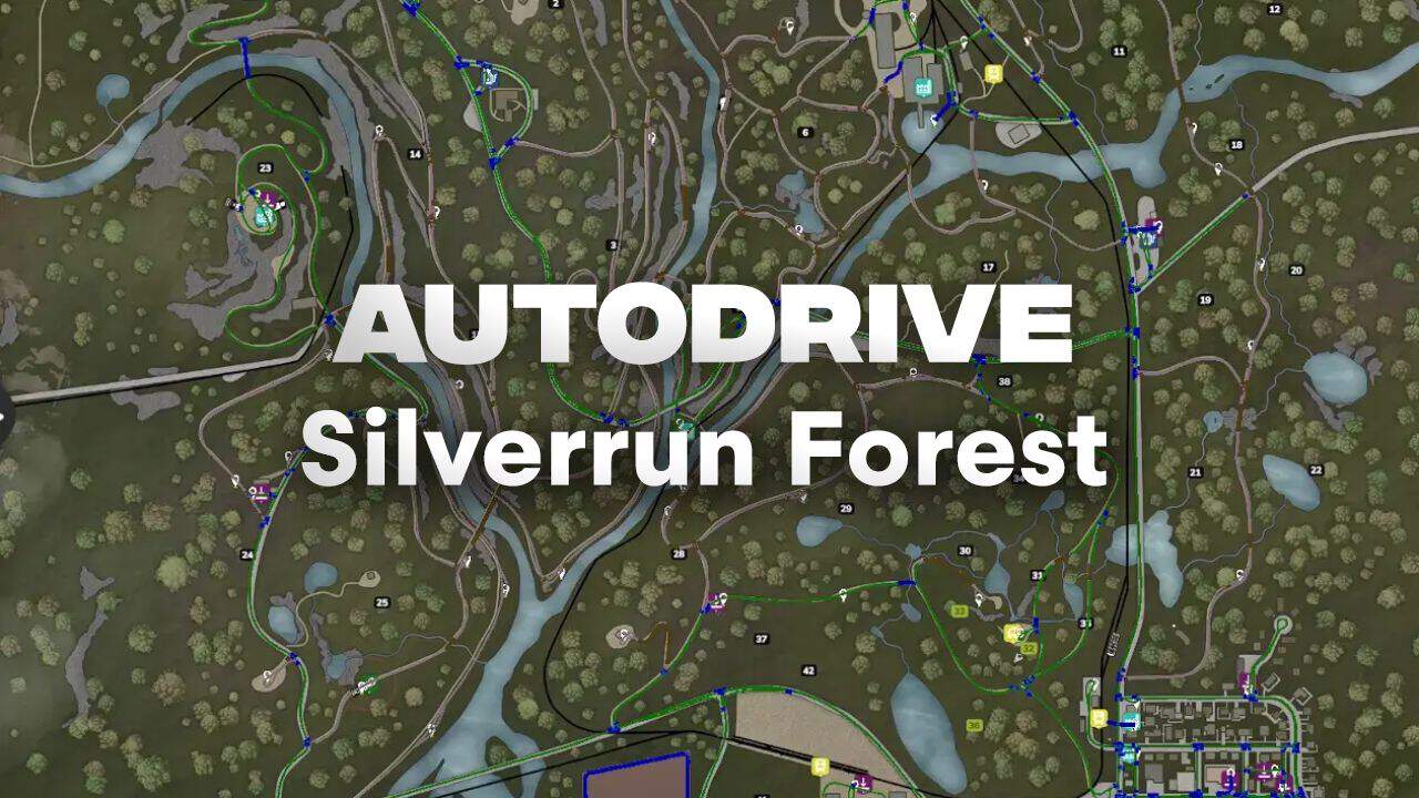 AutoDrive Silverrun Forest V1.0