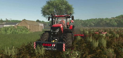 Case IH self made weight v1.0