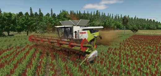 Common sorghum texture v1.0