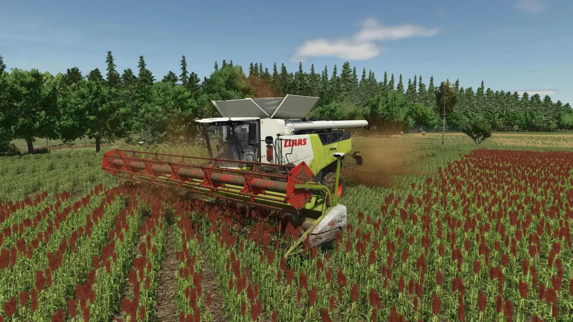 Common sorghum texture v1.0