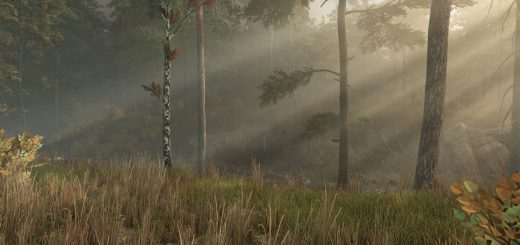 Ever Green Coast v1.0.0.2