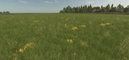 Grass with Dandelions and Daisies V1.0