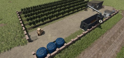 Plantations for grapes and olives v1.0