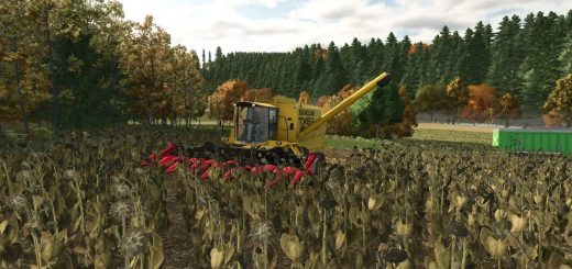 Sunflower Texture V1.0