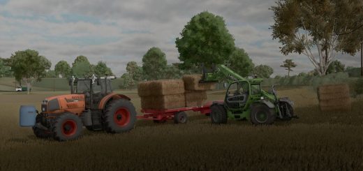 Homemade weight V1.0