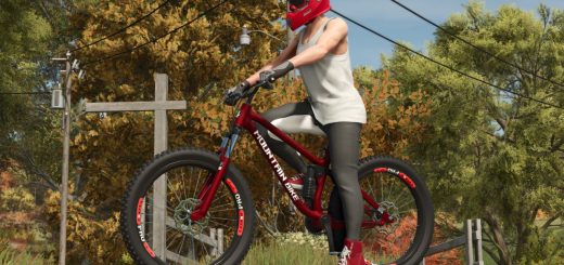 Lizard Mountain Bike V1.0