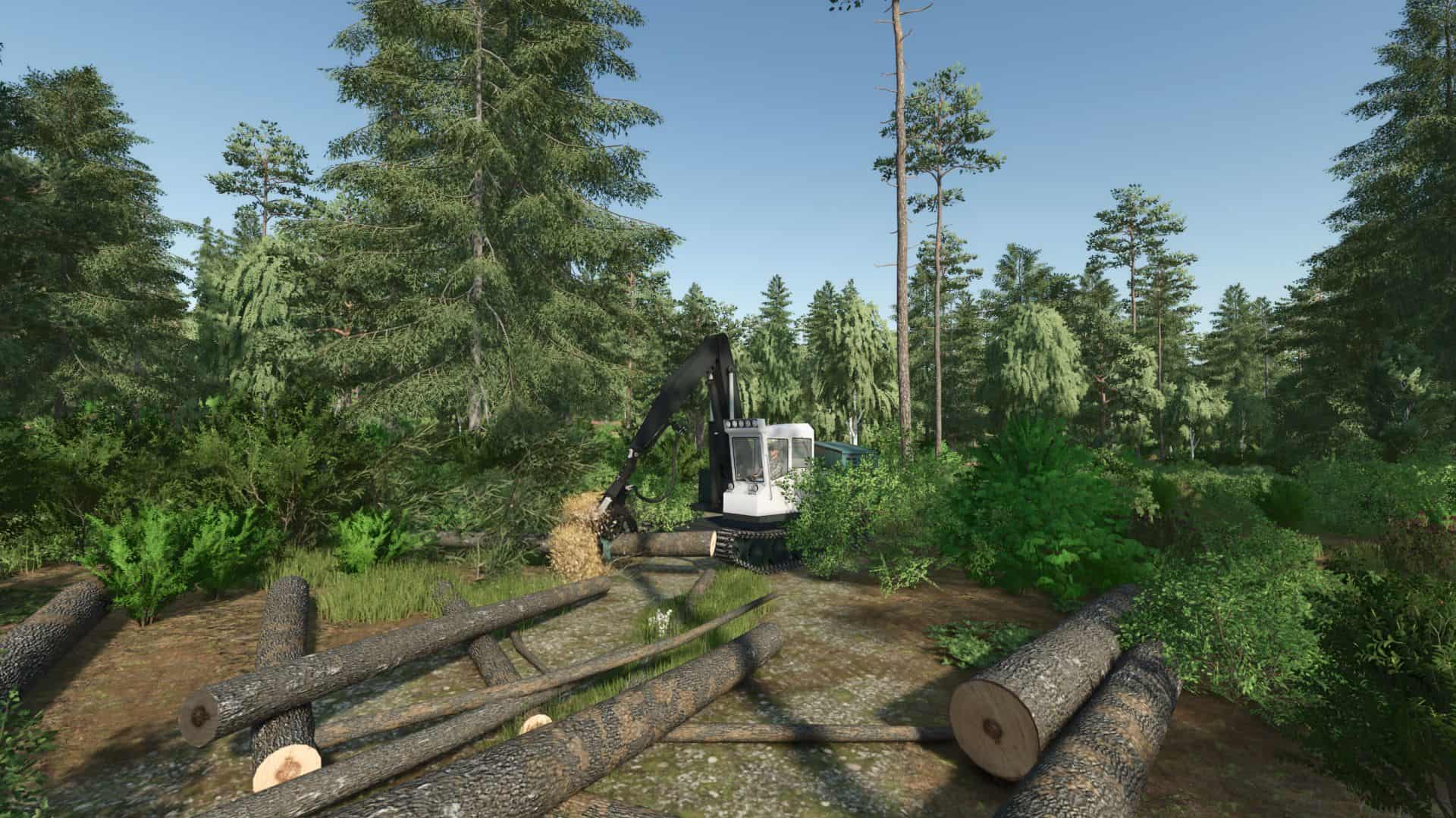 Forest machine V1.0