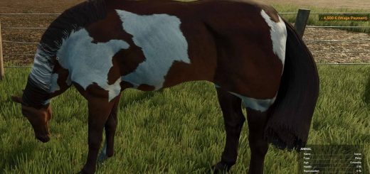 HorseHelper v1.0