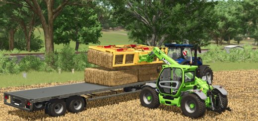 Lizard Quadra Pack V1.0