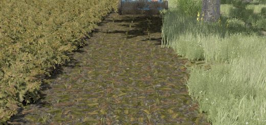 Lizard Z-319 V1.0