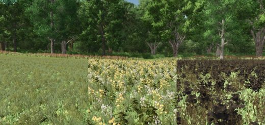MultiFruits Pack V1.0.0.1