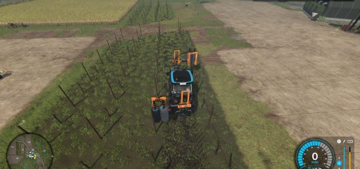 Narrow vines and olives V2.0