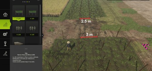 Narrow vines and olives v2.0