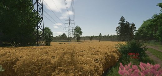 Starowies V1.1.0.1