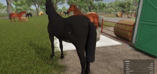 Auto Horse Care v1.0