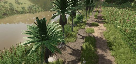 Coconut Trees v1.0
