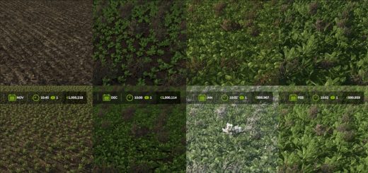 Fast Growth v1.0