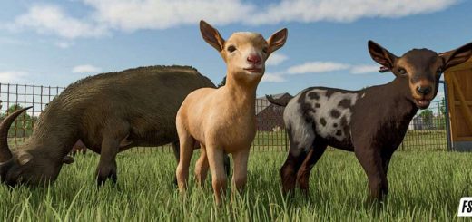 More Visual Animals v1.0