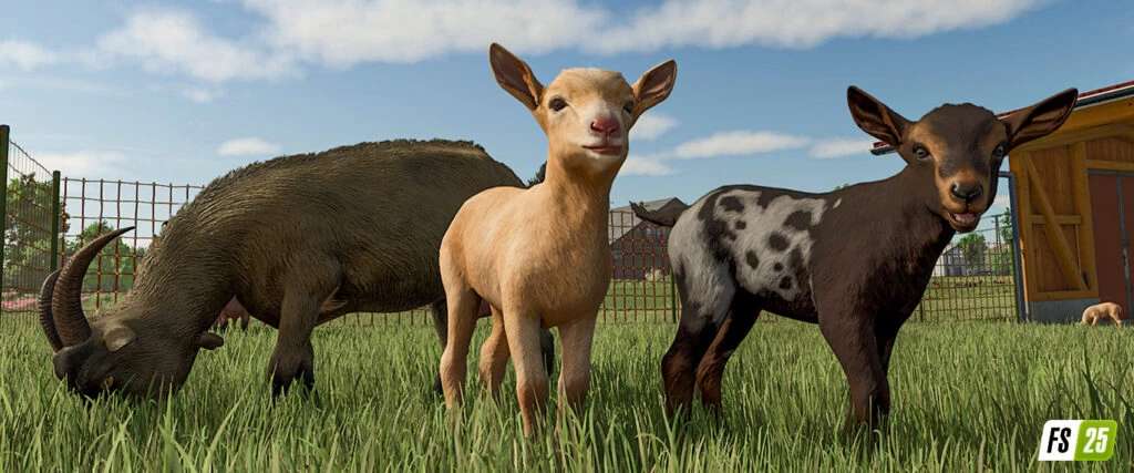 More Visual Animals v1.0