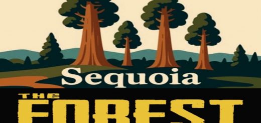 SEQUOIA FOREST v1.0