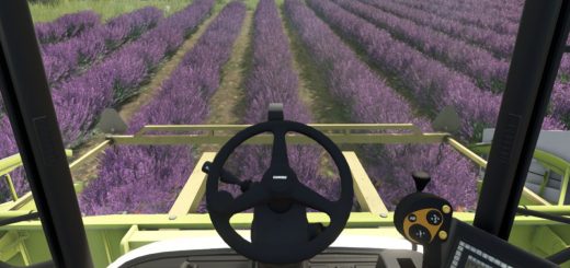 Lavender in Rows V1.0