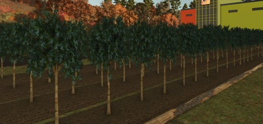 Fruit orchards V1.1