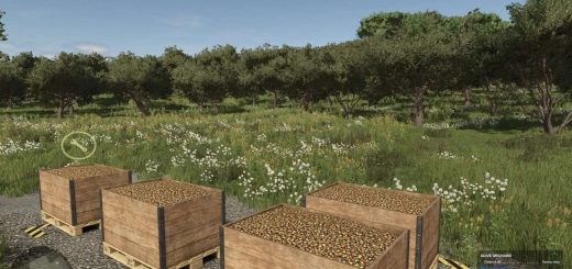 Olive Orchard Trigger v1.0