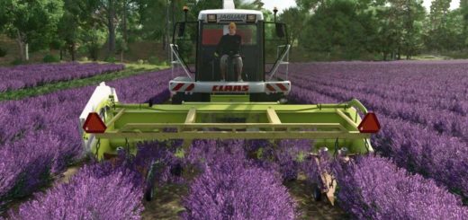 Ponzo Lavender Header v1.0