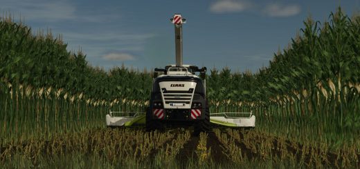Shader Nvidia V1.0