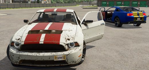 Lizard Road Rage V1.0