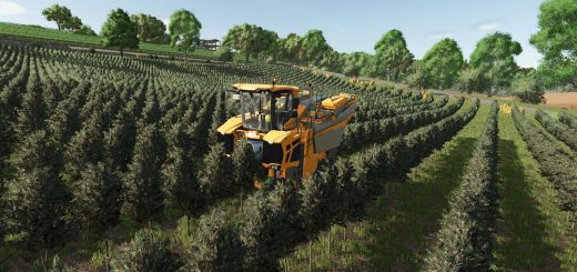 StarValley v1.0