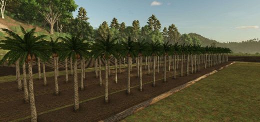 Fruit orchards V1.2