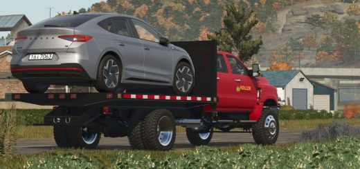Lizard Silver 6500 V2.1
