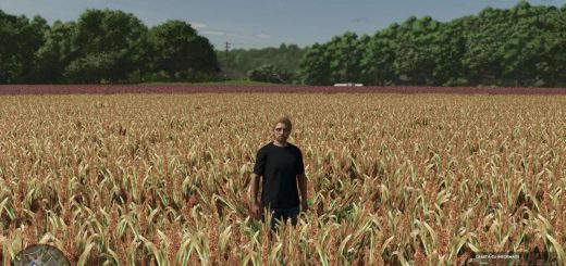 Millet v1.0