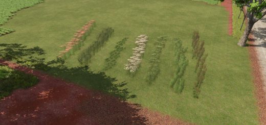 Plant Decoration Pack V1.0