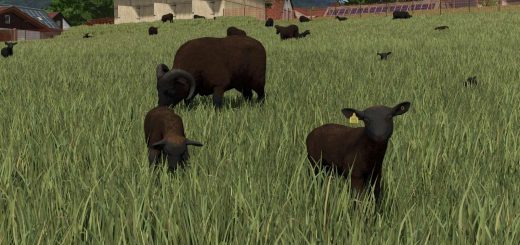 Animal Package Vanilla Edition v1.0
