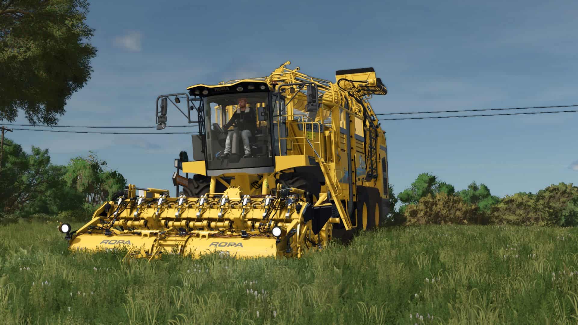 Ropa 6S (900 PS/1.000.000 l) Multifrüchte V1.3