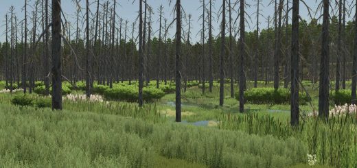 Umbreon Valley v2.0