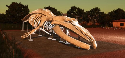 Whale skeleton V1.0