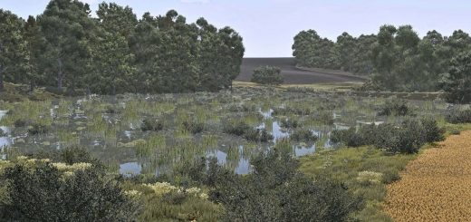 Wojnowice 4X v1.0