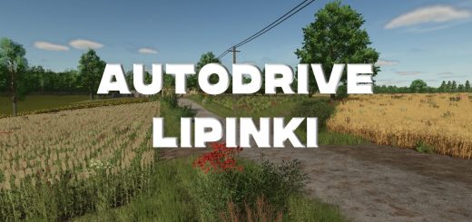 AutoDrive Lipinki V1.0