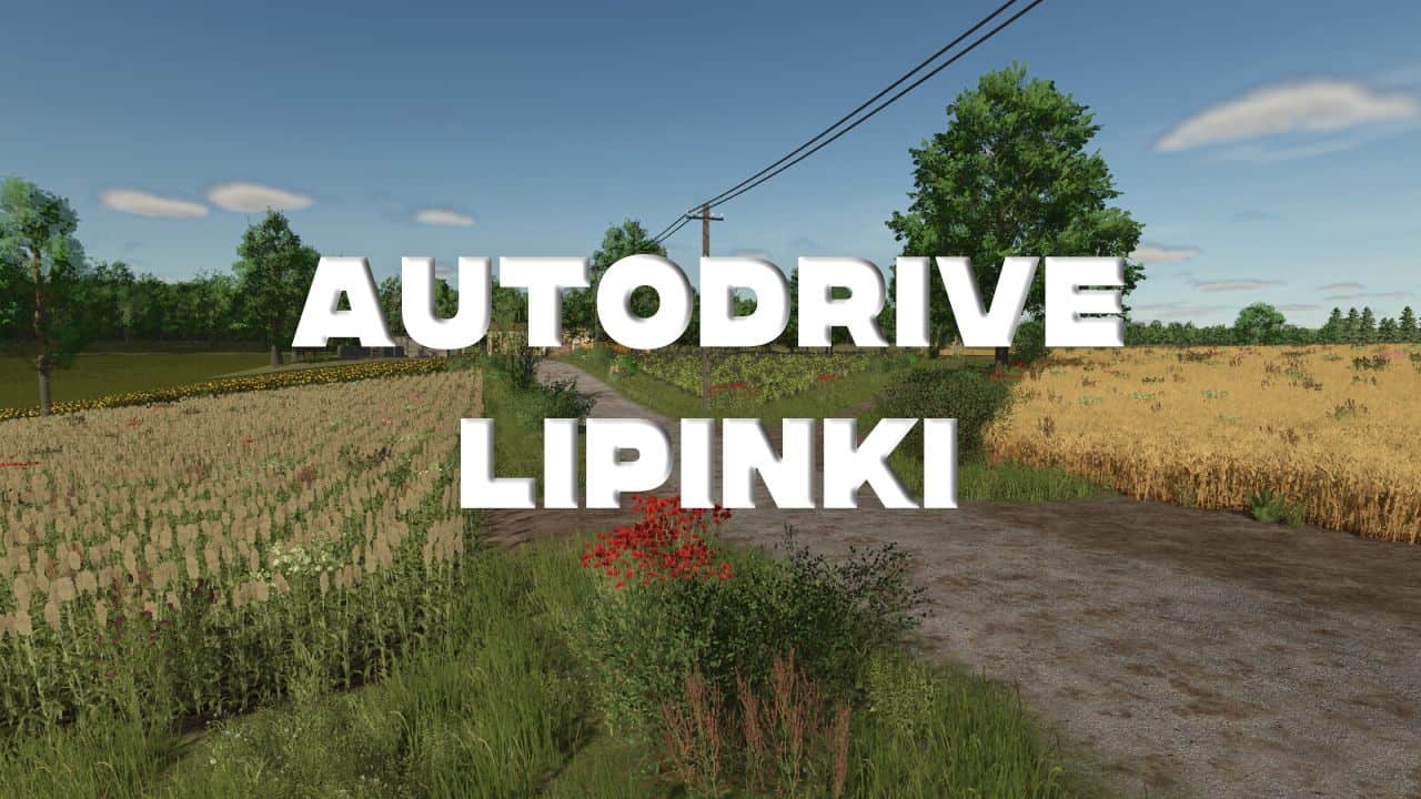 AutoDrive Lipinki V1.0